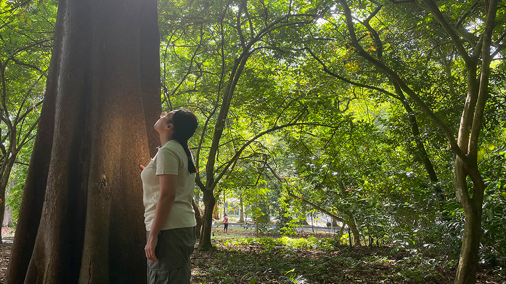 A "secret" resting practice that has been passed down in Japan for 40 years